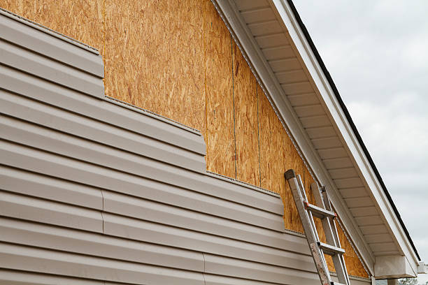 Professional Siding Inspection technician working in Erie, PA
